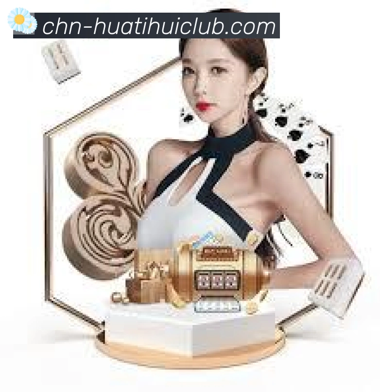 未来规划